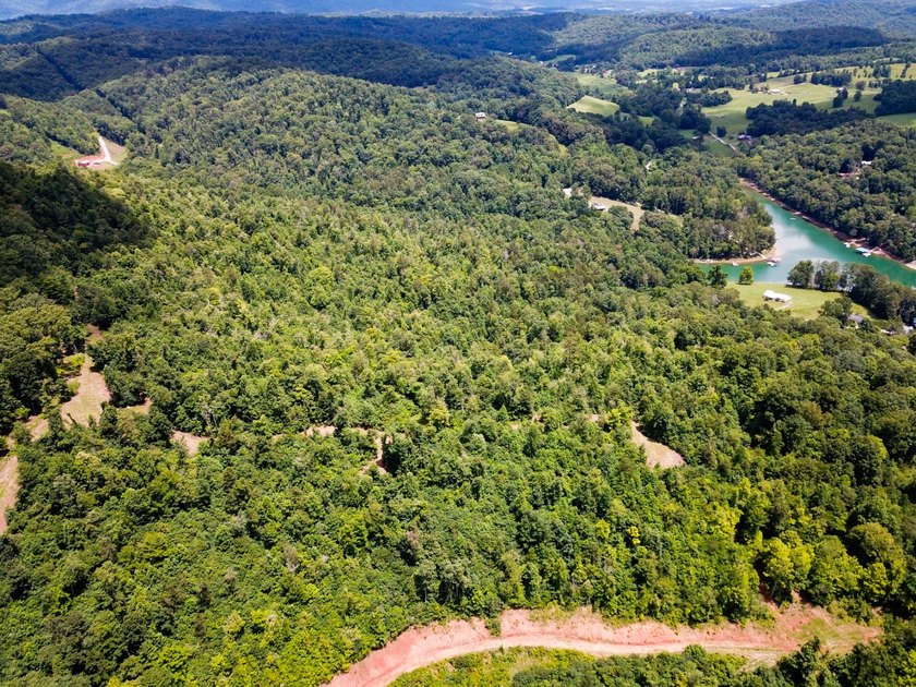Introducing Lot 6 by Norris Lake in Union County, Tennessee: - photo 17
