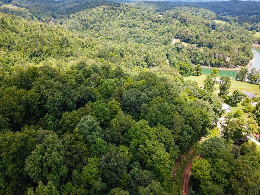Introducing Lot 6 by Norris Lake in Union County, Tennessee: - photo 18