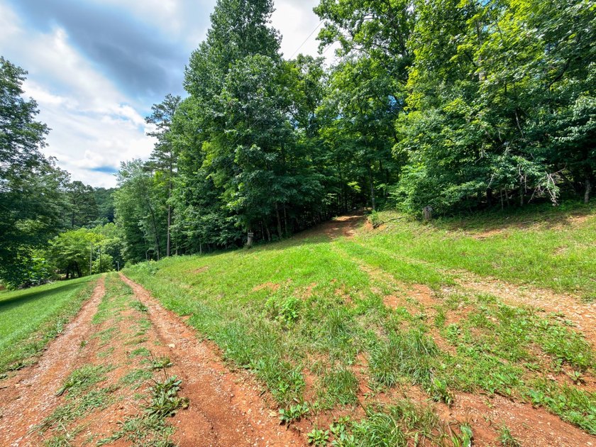 Introducing Lot 6 by Norris Lake in Union County, Tennessee: - photo 21