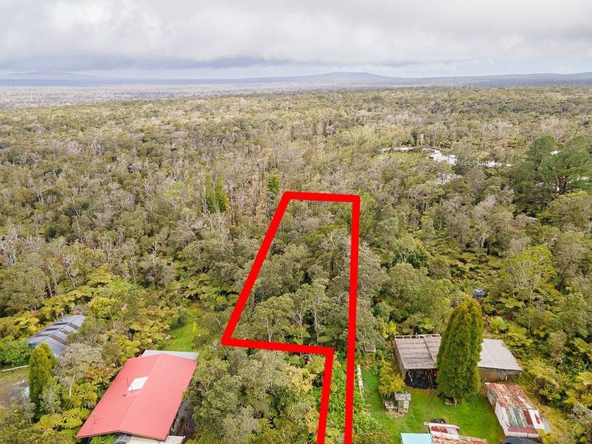 Build your dream retreat on this wooded flag lot on a paved - photo 6