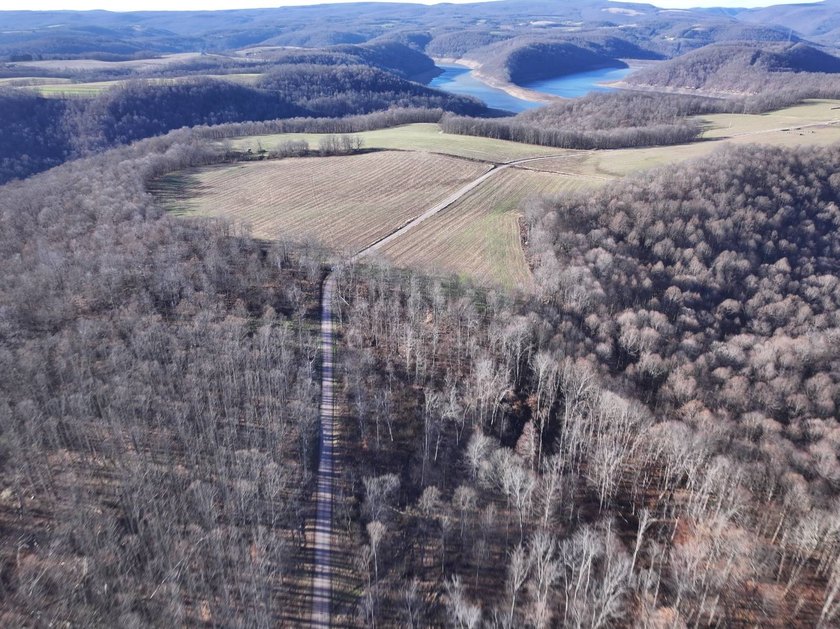 Build ready wooded lots near Yough Lake featuring recent septic - photo 12