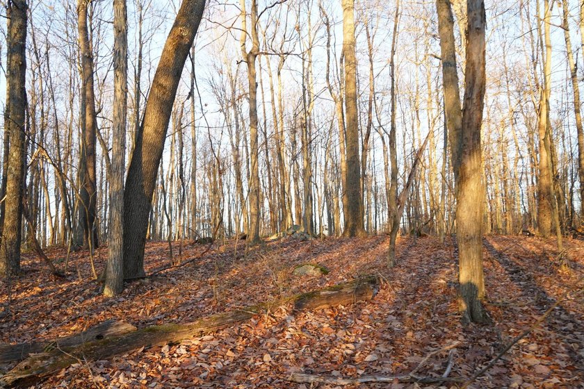 Build ready wooded lots near Yough Lake featuring recent septic - photo 15