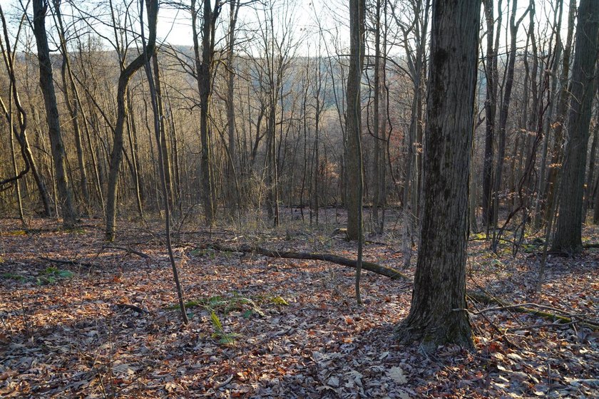 Build ready wooded lots near Yough Lake featuring recent septic - photo 25