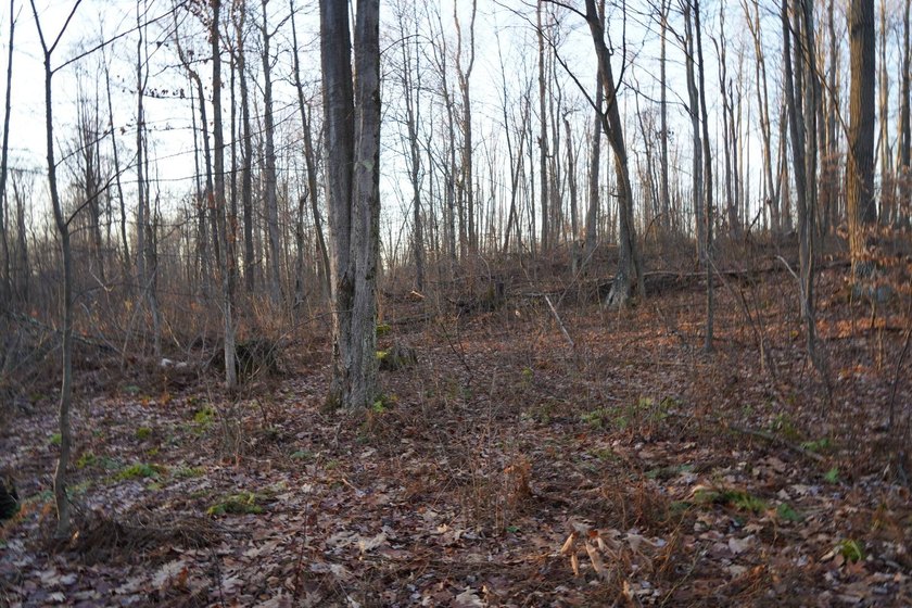 Build ready wooded lots near Yough Lake featuring recent septic - photo 32