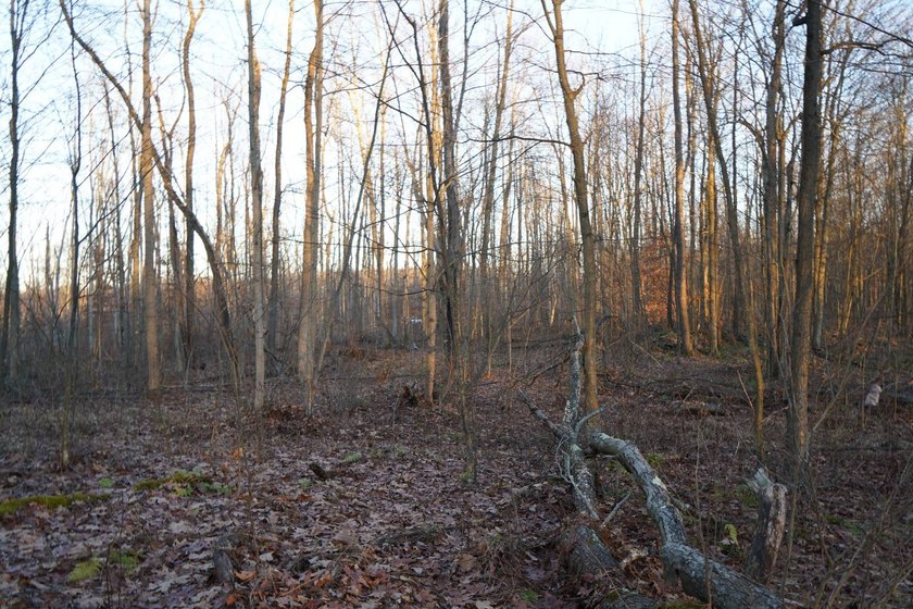 Build ready wooded lots near Yough Lake featuring recent septic - photo 33