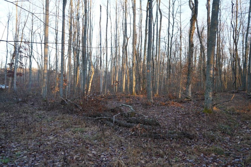 Build ready wooded lots near Yough Lake featuring recent septic - photo 35