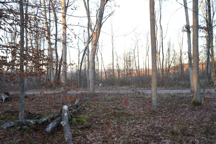 Build ready wooded lots near Yough Lake featuring recent septic - photo 37