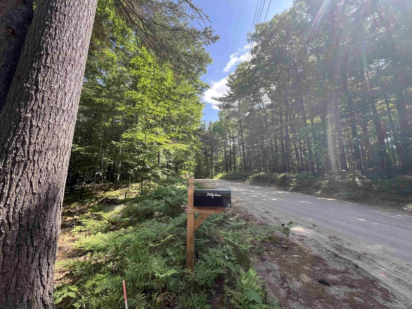 New in 2023 is this Adirondack camp located at 33 Dogwood Street - photo 37