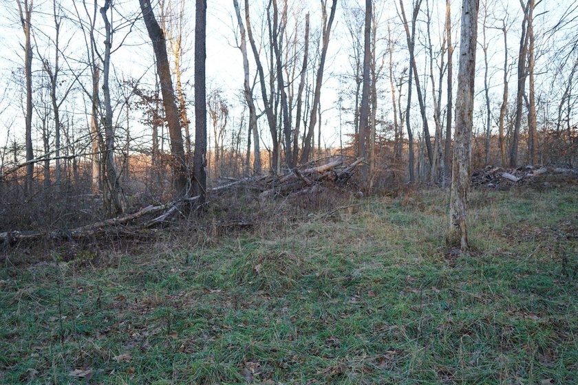 Build ready wooded lots near Yough Lake featuring recent septic - photo 38