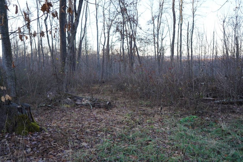 Build ready wooded lots near Yough Lake featuring recent septic - photo 39