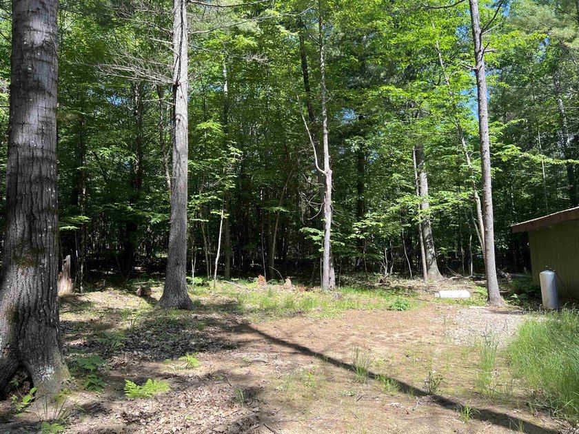 New in 2023 is this Adirondack camp located at 33 Dogwood Street - photo 39