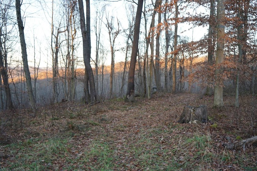 Build ready wooded lots near Yough Lake featuring recent septic - photo 40