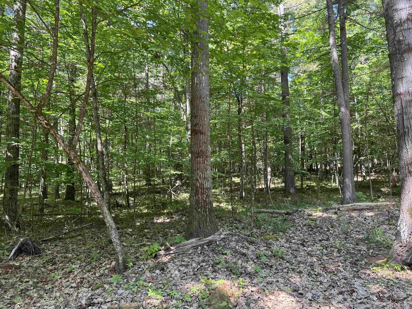 New in 2023 is this Adirondack camp located at 33 Dogwood Street - photo 40