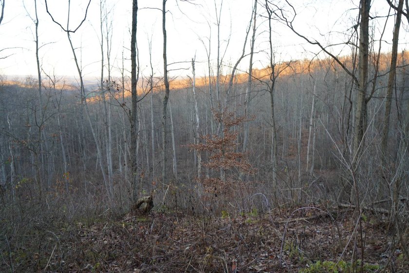 Build ready wooded lots near Yough Lake featuring recent septic - photo 41