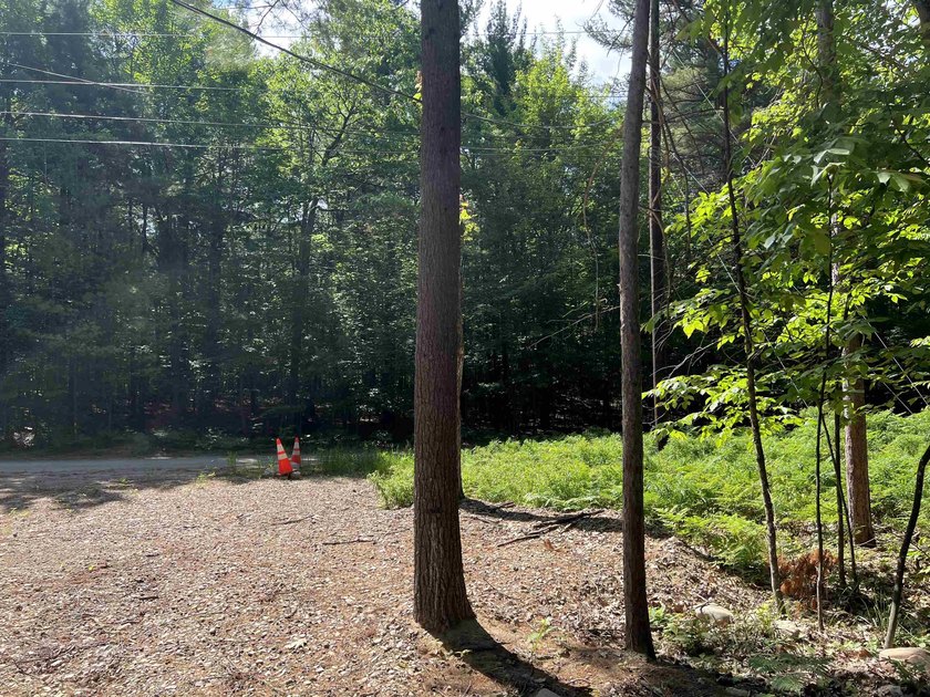 New in 2023 is this Adirondack camp located at 33 Dogwood Street - photo 43