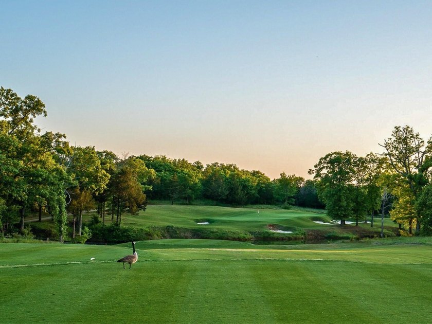 Located within the prestigious Rock Creek Resort, this - photo 6