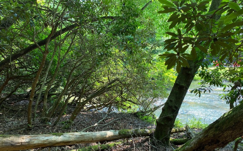 This river front lot is located in Buckhorn Estates, a wildlife - photo 3