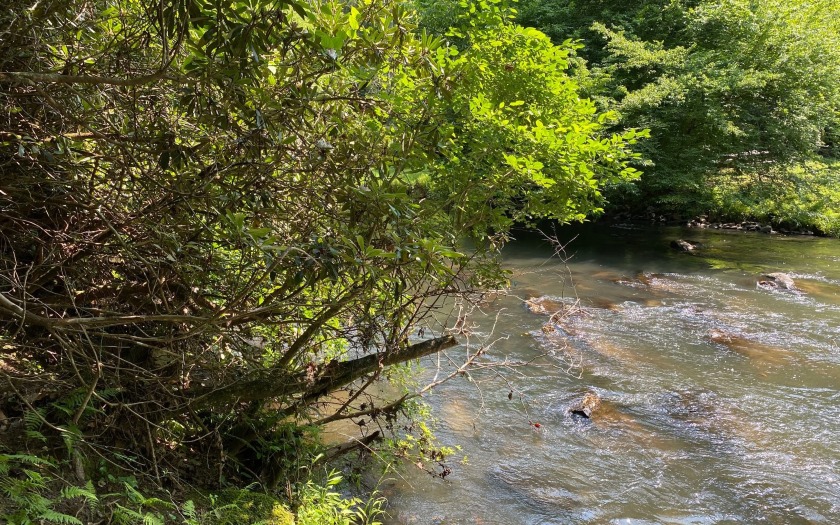 This river front lot is located in Buckhorn Estates, a wildlife - photo 7