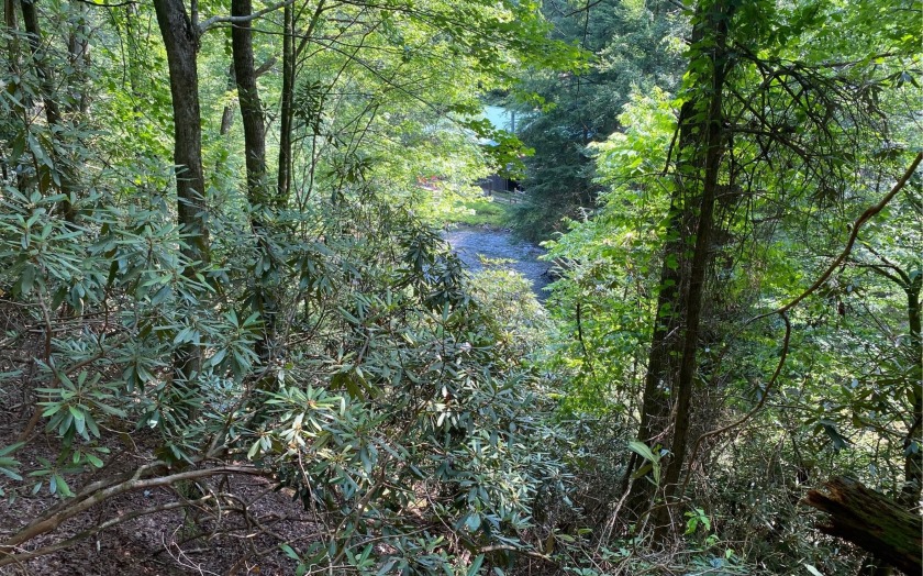 This river front lot is located in Buckhorn Estates, a wildlife - photo 8