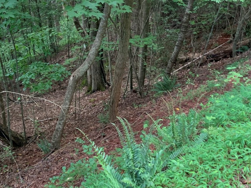 Year Round Mountain and Lake View Lot for sale Near town of - photo 4