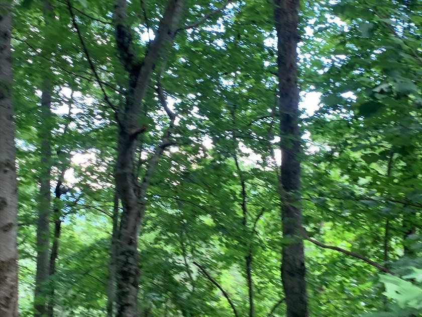 Year Round Mountain and Lake View Lot for sale Near town of - photo 7
