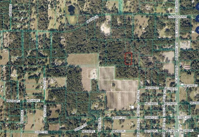*** GREAT 1.93 ACRE LOT in Citra. *** No HOA! It offers enough - photo 4