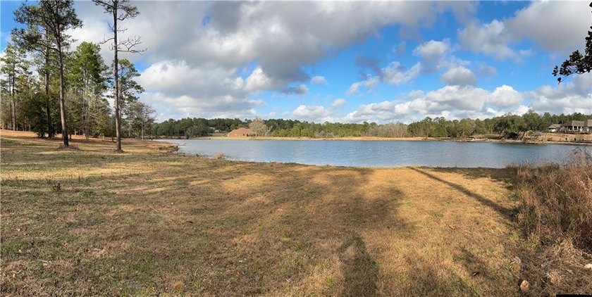 ***LAKE LOT*** APPROXIMATELY 1.4 ACRE LOT ON HEADWATERS LAKE IN - photo 5