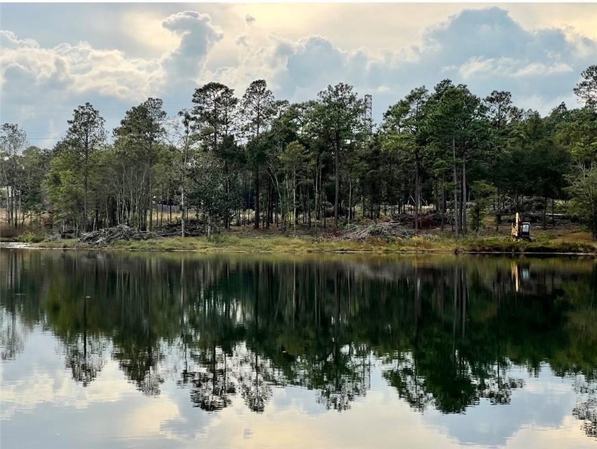 ***LAKE LOT*** APPROXIMATELY 1.4 ACRE LOT ON HEADWATERS LAKE IN - photo 6