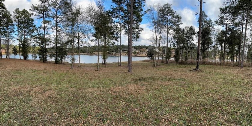 ***LAKE LOT*** APPROXIMATELY 1.4 ACRE LOT ON HEADWATERS LAKE IN - photo 7