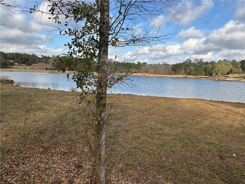 ***LAKE LOT*** APPROXIMATELY 1.4 ACRE LOT ON HEADWATERS LAKE IN - photo 8
