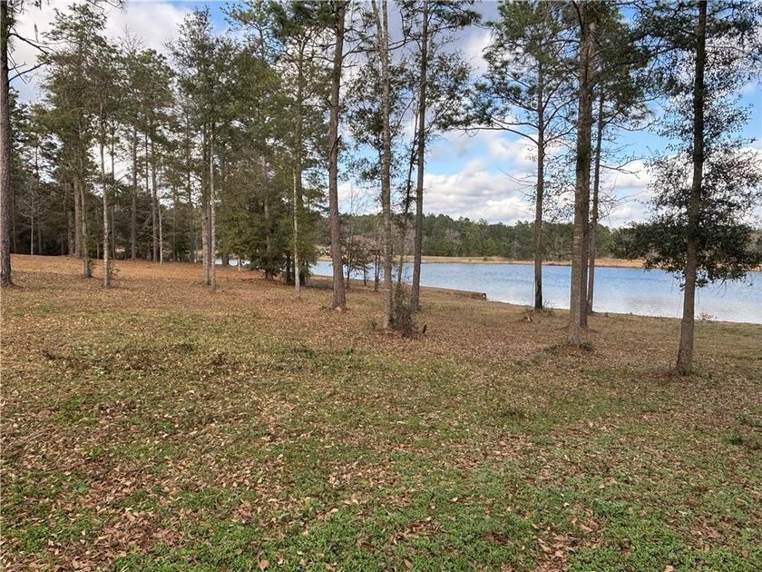 ***LAKE LOT*** APPROXIMATELY 1.4 ACRE LOT ON HEADWATERS LAKE IN - photo 9
