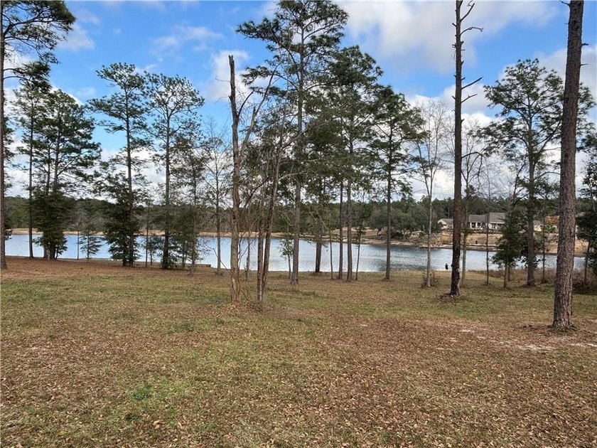 ***LAKE LOT*** APPROXIMATELY 1.4 ACRE LOT ON HEADWATERS LAKE IN - photo 10