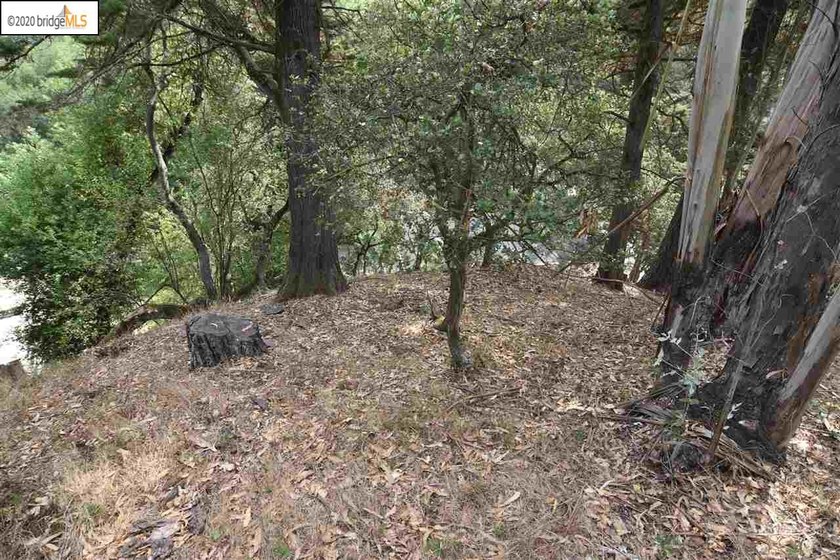 PRICE REDUCED!!! Tremendous opportunity to buy a Lot and build a - photo 2