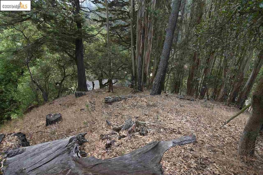 PRICE REDUCED!!! Tremendous opportunity to buy a Lot and build a - photo 3