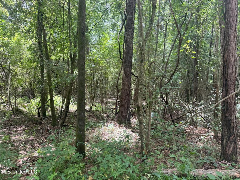This is a one-of-a-kind gem of a tract. It's literally within 5 - photo 11