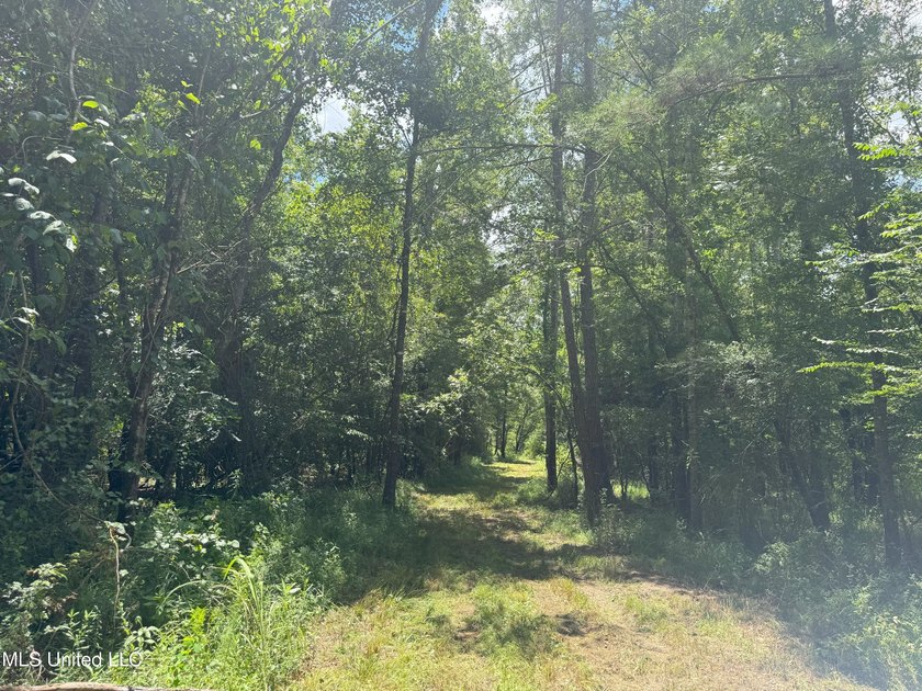 This is a one-of-a-kind gem of a tract. It's literally within 5 - photo 16
