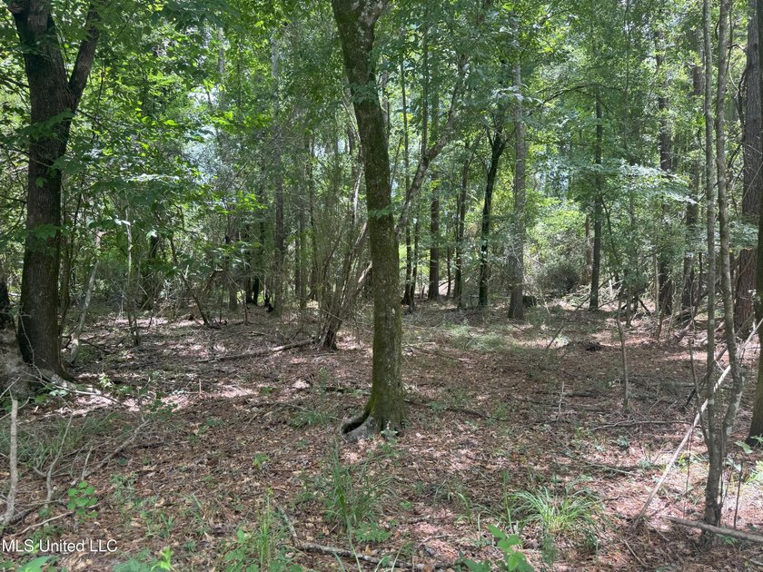 This is a one-of-a-kind gem of a tract. It's literally within 5 - photo 18