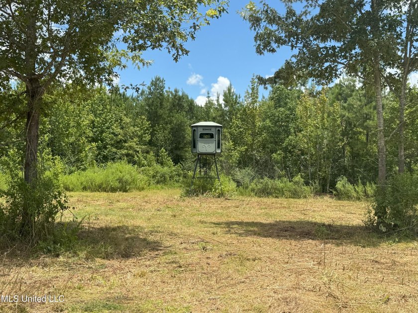 This is a one-of-a-kind gem of a tract. It's literally within 5 - photo 21