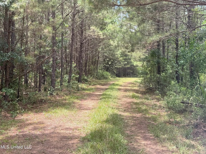 This is a one-of-a-kind gem of a tract. It's literally within 5 - photo 22