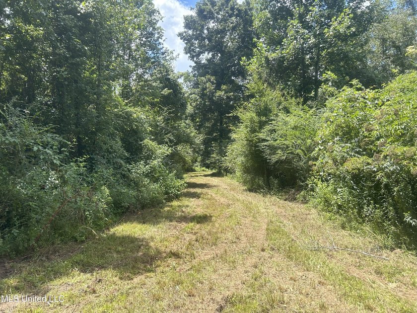 This is a one-of-a-kind gem of a tract. It's literally within 5 - photo 23