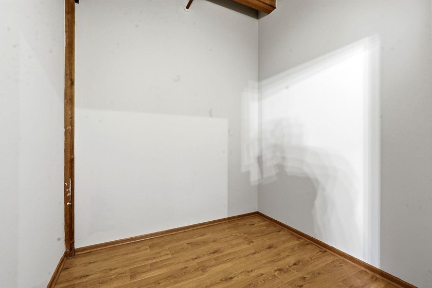 Located on a quiet street in the heart of the North Loop, you - photo 24