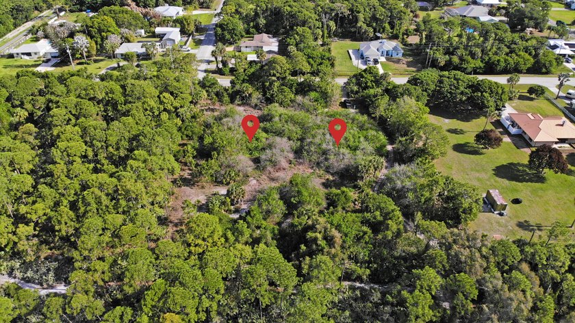 1 of 2 lots available (see other listing B26019423) - RARE 2 - photo 3