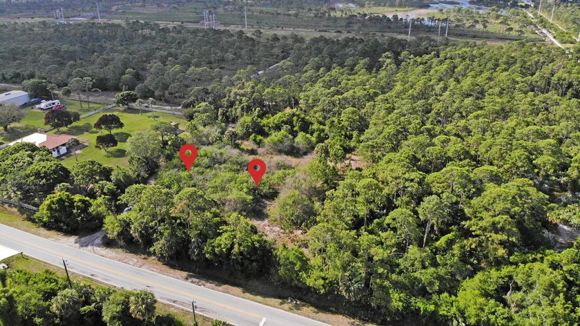 1 of 2 lots available (see other listing B26019423) - RARE 2 - photo 5