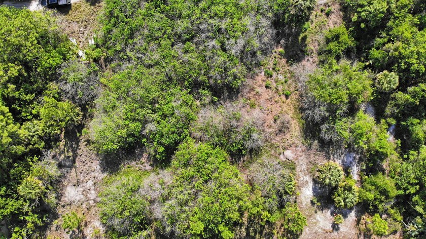 1 of 2 lots available (see other listing B26019423) - RARE 2 - photo 6