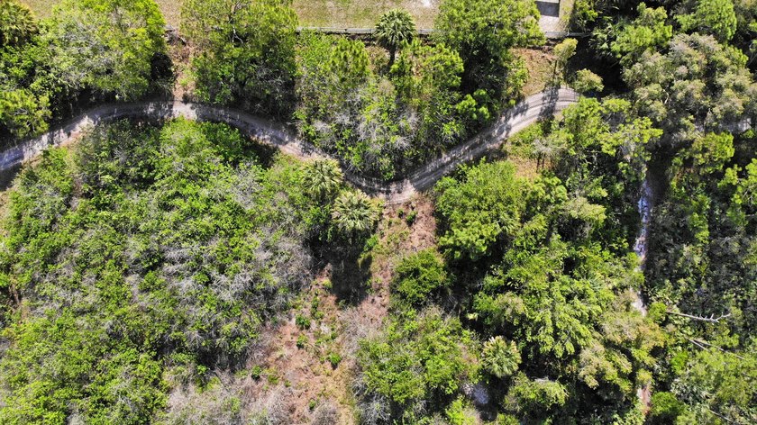 1 of 2 lots available (see other listing B26019423) - RARE 2 - photo 7