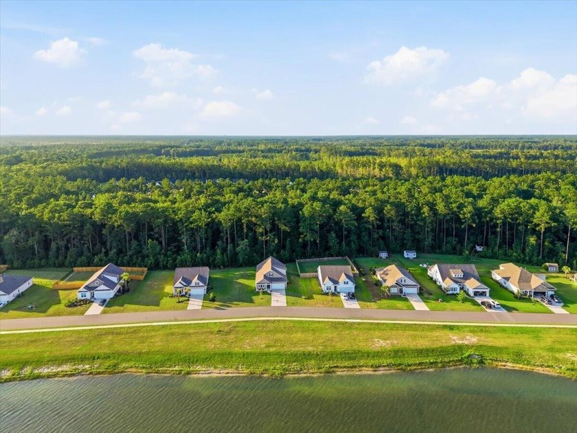 Water views, oversized homesites, minutes from Mount Pleasant - photo 10