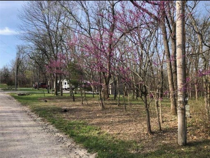 Rare opportunity to own four side-by-side lots totaling - photo 12