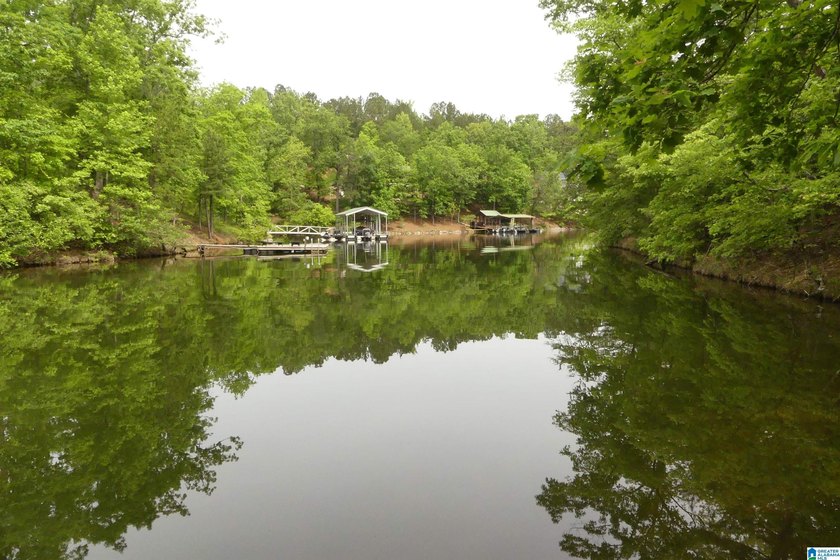 THIS IS A RARE OPPORTUNITY TO OWN 5+/- ACRES, 375 FEET OF WATER - photo 2