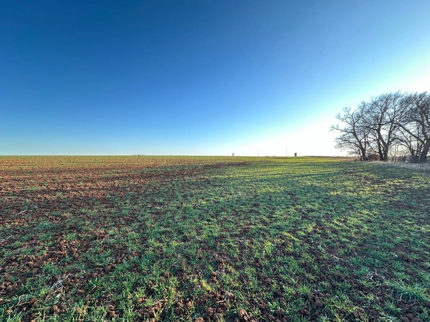 51+/- Acres | Pond Creek Area, Grant County, Oklahoma Productive - photo 12