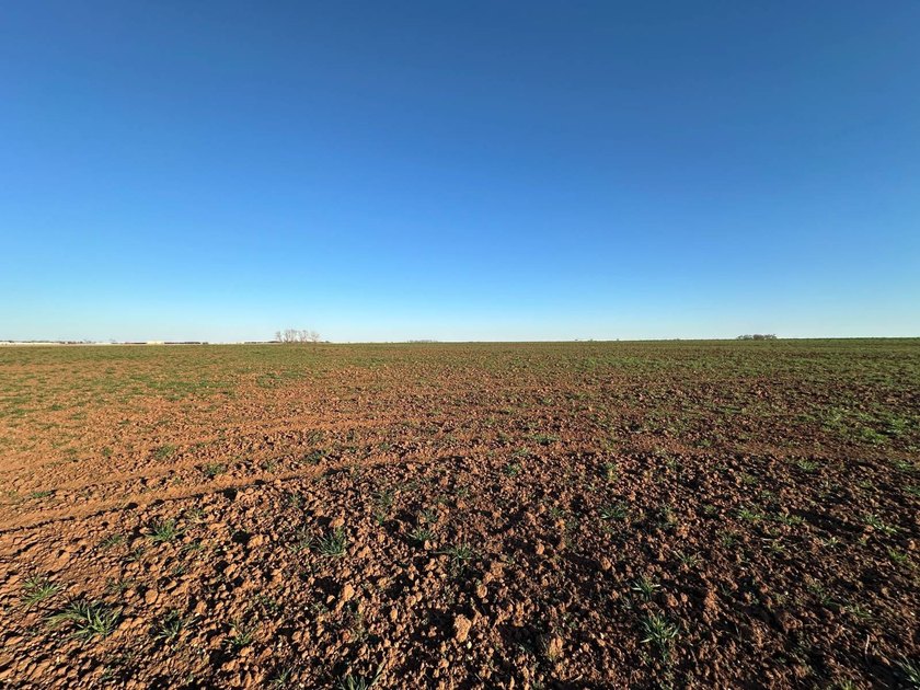 51+/- Acres | Pond Creek Area, Grant County, Oklahoma Productive - photo 13